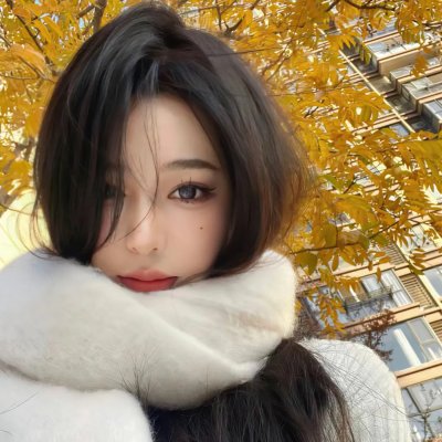 芬妮的旅程